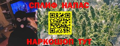 прущие крисы Малгобек