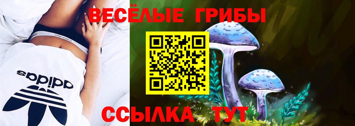 Псилоцибиновые грибы GOLDEN TEACHER Троицк